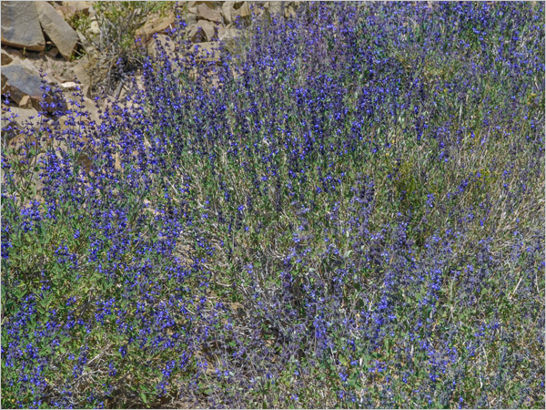Download 1920x1200 Pixel